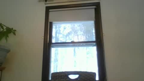 scottpbi52 online show from 20, 2, 2025