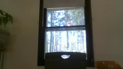 scottpbi52 online show from 10, 3, 2025