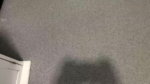 scottyc48 online show from 12, 11, 2025