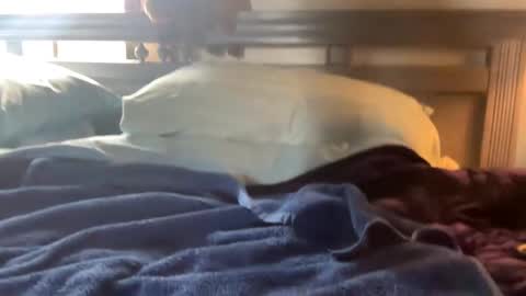 Snapshot of seaboy78 chatting on 15, 12, 2024 Skylar87 online show from 15, 12, 2024