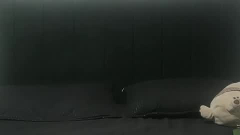 Sebastiano online show from 25, 2, 2025