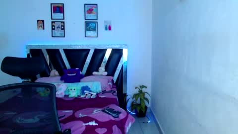 Snapshot of sebasxxl12 chatting on 4, 6, 2026 Sebas online show from 4, 6, 2026