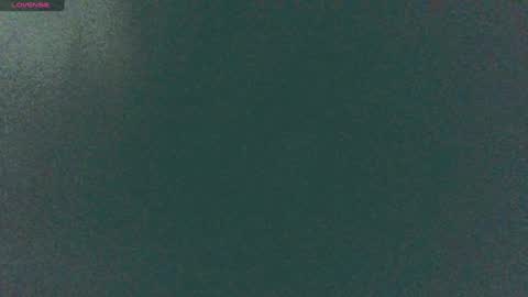 Sunny online show from 14, 12, 2024