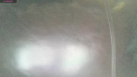 Sunny online show from 29, 1, 2025