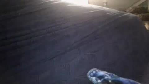 Sunny online show from 24, 2, 2026