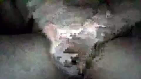 SotaSled online show from 20, 2, 2026