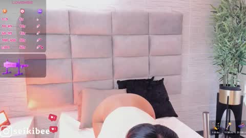 Snapshot of seikibee chatting on 21, 2, 2026 seikibee online show from 21, 2, 2026