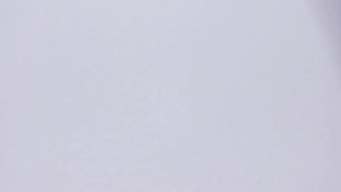 selenne_rouse online show from 27, 4, 2026