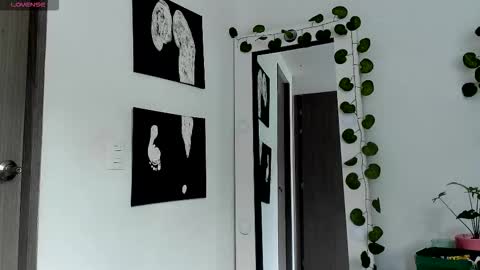 Selyn online show from 13, 2, 2026