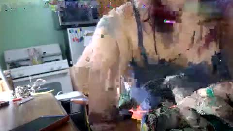 senyahki online show from 14, 1, 2026