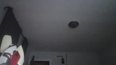 Snapshot of sexbrute chatting on 17, 5, 2026 sexbrute online show from 17, 5, 2026
