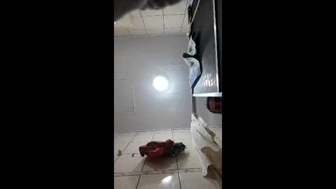 sexshyfun online show from 16, 1, 2026