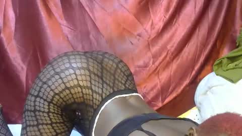 Snapshot of sexxy_triza chatting on 21, 9, 2025 triza online show from 21, 9, 2025