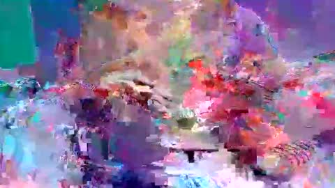 sexxycotton online show from 10, 4, 2026