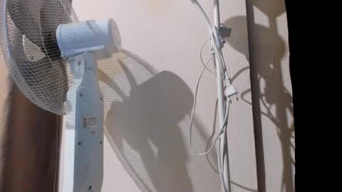 Alice online show from 20, 9, 2025