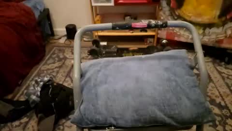 Snapshot of sexy_cayden chatting on 23, 1, 2025 Cayden online show from 23, 1, 2025