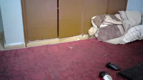 Snapshot of sexy_lunah chatting on 19, 12, 2024 sexy_lunah online show from 19, 12, 2024