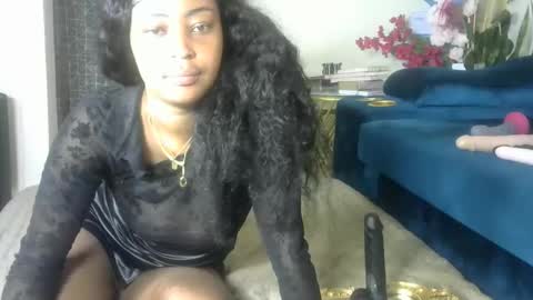 sexy pigeon online show from 17, 4, 2026