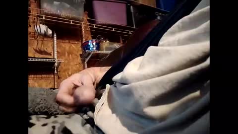    RICHY    online show from 1, 11, 2025