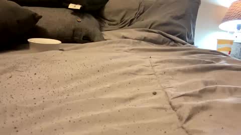 FunCpl4u online show from 11, 3, 2025