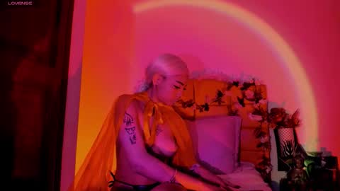 N A F online show from 29, 10, 2025