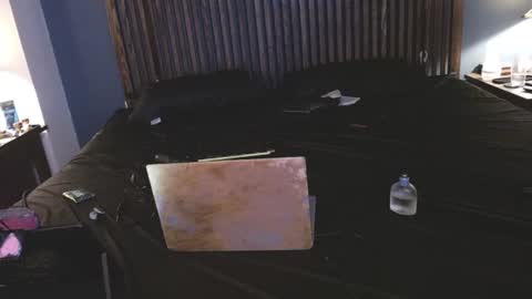 Possum online show from 15, 9, 2025