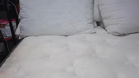 sexystephanie04 online show from 13, 4, 2026