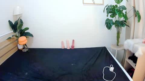 sexytrixie11 online show from 22, 6, 2026