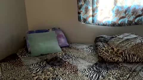 Shaman Woman online show from 6, 12, 2024