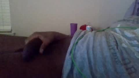 Snapshot of shameak chatting on 28, 10, 2025 Shameak online show from 28, 10, 2025