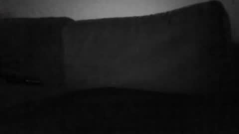 Shorty online show from 31, 5, 2026