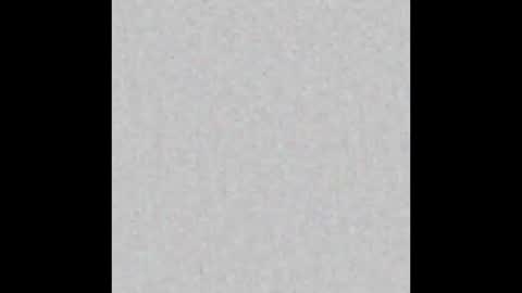 Shane  Shiloh online show from 2, 2, 2026