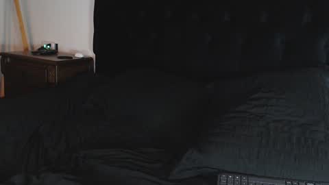 Shane online show from 6, 12, 2024