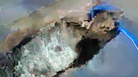 bini aiah online show from 8, 3, 2025