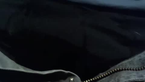 Shane online show from 8, 3, 2026