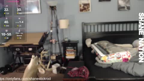 shanestickrod online show from 18, 11, 2025