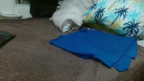 Snapshot of sharlot03 chatting on 10, 2, 2025 sharlot03 online show from 10, 2, 2025