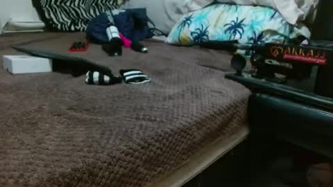 Snapshot of sharlot03 chatting on 12, 2, 2025 sharlot03 online show from 12, 2, 2025