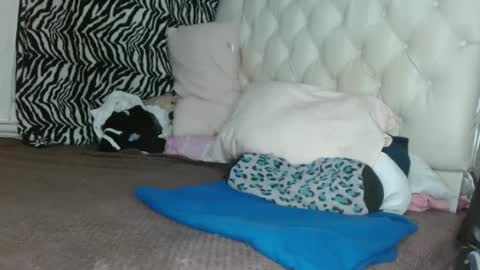 Snapshot of sharlot03 chatting on 11, 3, 2025 sharlot03 online show from 11, 3, 2025