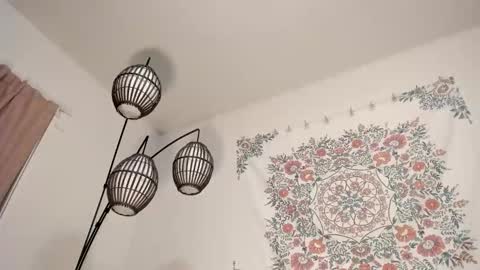 Secret Shea online show from 1, 3, 2026