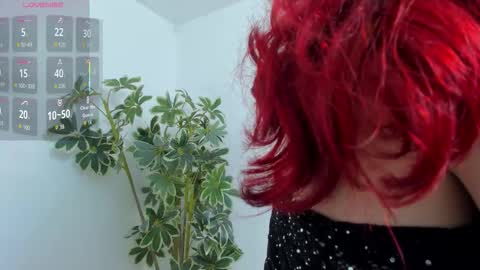 Snapshot of shegoblake chatting on 19, 12, 2025 Shego online show from 19, 12, 2025