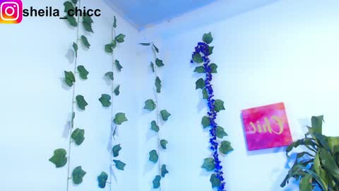 SHEILA  online show from 9, 12, 2024