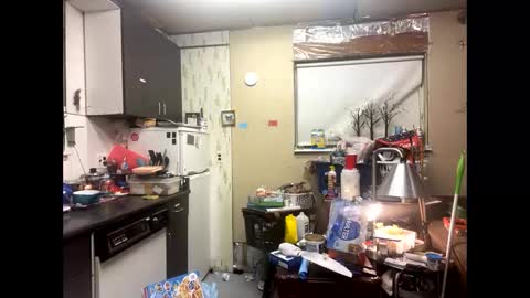 Shelby holes online show from 9, 12, 2024