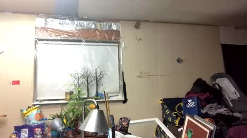 Shelby holes online show from 10, 3, 2025