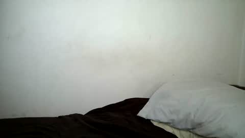 Wet  online show from 5, 7, 2026