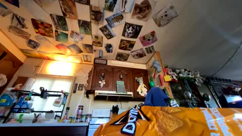 Snapshot of shorty920505 chatting on 29, 9, 2025 shorty920505 online show from 29, 9, 2025