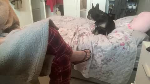 shyboy0533 online show from 3, 11, 2025