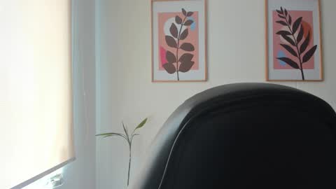 shylittlebunny online show from 10, 3, 2026