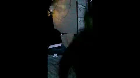 shylom online show from 15, 2, 2026