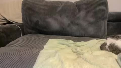 Call Me Yours online show from 28, 4, 2026